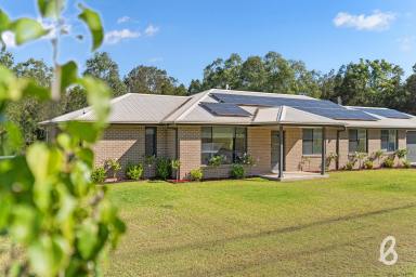 House Sold - NSW - Singleton - 2330 - Rural living only minutes to town  (Image 2)
