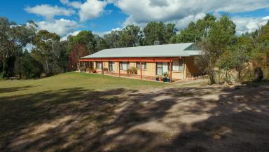 House For Sale - NSW - Inverell - 2360 - Serene Country Lifestyle  (Image 2)