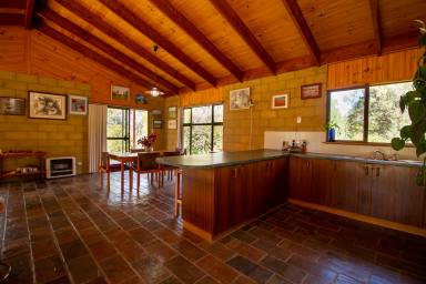 House For Sale - NSW - Inverell - 2360 - Serene Country Lifestyle  (Image 2)