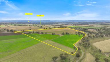 Lifestyle Sold - NSW - Duri - 2344 - PRIME LAND WITH ENDLESS POTENTIAL  (Image 2)