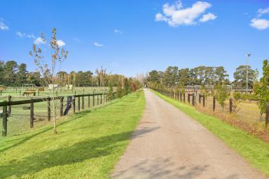 Acreage/Semi-rural For Sale - VIC - Pearcedale - 3912 - Perfect Blend of Rural Lifestyle and Agistment Potential  (Image 2)