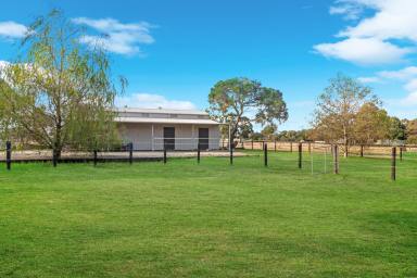 Acreage/Semi-rural For Sale - VIC - Pearcedale - 3912 - Perfect Blend of Rural Lifestyle and Agistment Potential  (Image 2)