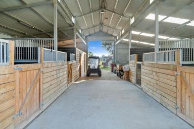 Acreage/Semi-rural For Sale - VIC - Pearcedale - 3912 - Perfect Blend of Rural Lifestyle and Agistment Potential  (Image 2)