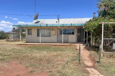 Other (Rural) Auction - NSW - Tullamore - 2874 - Need more land?  (Image 2)