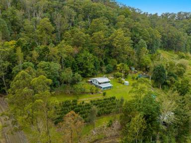 Horticulture Sold - NSW - Jiggi - 2480 - Your Relaxed Rural Lifestyle Awaits  (Image 2)