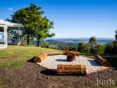 Livestock For Sale - NSW - Paterson - 2421 - Moonabung Ridge – Large-Scale Hunter Valley Grazing Property  (Image 2)