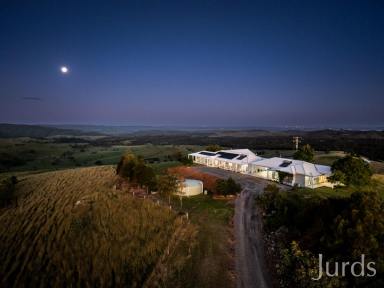 Livestock Sold - NSW - Paterson - 2421 - Moonabung - 717 acre Cattle Station & Farm Stay  (Image 2)