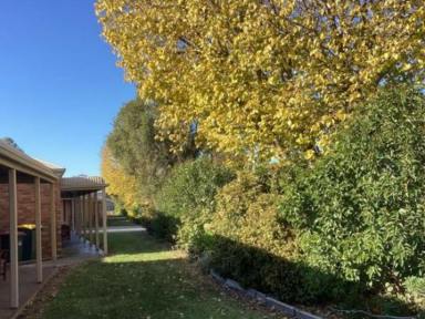 Unit For Lease - NSW - Moama - 2731 - Central and Convenient Living  (Image 2)