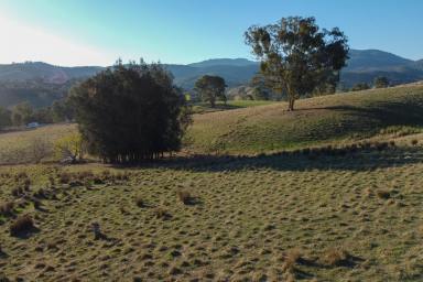 Residential Block For Sale - VIC - Bonnie Doon - 3720 - YOUR LIFESTYLE ACREAGE AWAITS!  (Image 2)