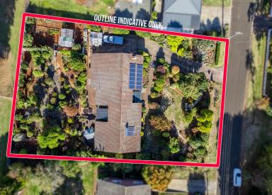 House For Sale - TAS - Scottsdale - 7260 - Spacious Family Haven with Enchanting Gardens on a Grand Block (Image 2)