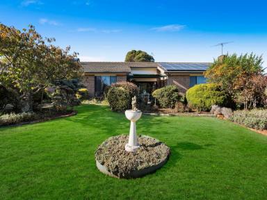 House For Sale - TAS - Scottsdale - 7260 - Spacious Family Haven with Enchanting Gardens on a Grand Block (Image 2)