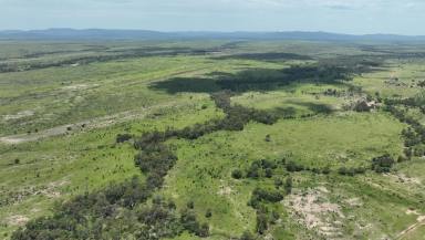 Livestock For Sale - QLD - Alpha - 4724 - Outstanding Backgrounding and Finishing Opportunity  (Image 2)