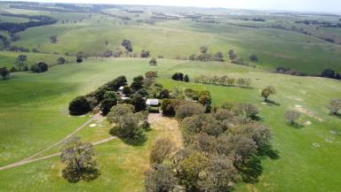 Other (Rural) For Sale - VIC - Carapook - 3312 - Picturesque and Productive  (Image 2)