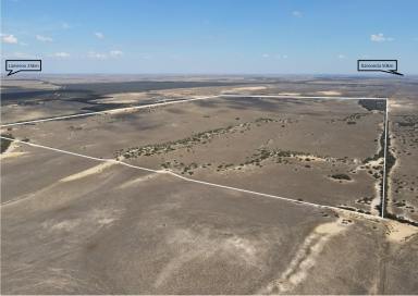 Mixed Farming For Sale - SA - Lameroo - 5302 - 400 Acres of Grazing Country.  (Image 2)