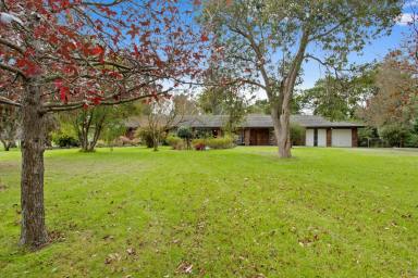 Acreage/Semi-rural For Sale - VIC - Devon Meadows - 3977 - Tranquil Treechange On 2.5 Acres With Endless Possibilities  (Image 2)