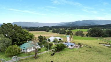Livestock For Sale - NSW - Berry - 2535 - Deceased Estate - Must Sell!  (Image 2)