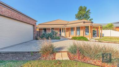 House For Sale - VIC - Echuca - 3564 - Great family opportunity  (Image 2)