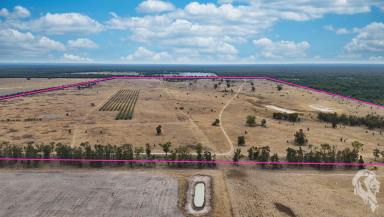 Other (Rural) For Sale - NSW - Bohena Creek - 2390 - ENTRY LEVEL FARM WITH WATER LICENCE AND INFRASTRUCTURE IN PLACE  (Image 2)