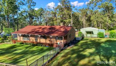 House For Sale - QLD - Torbanlea - 4662 - Horse lovers dream on 9 acres  (Image 2)