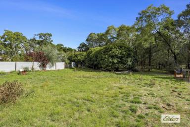 Residential Block Sold - VIC - Lake Bolac - 3351 - Affordable building block close to the lake  (Image 2)