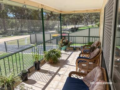 House Sold - NSW - Inverell - 2360 - SEMI-RURAL ESCAPE  (Image 2)