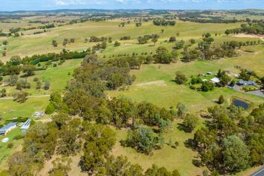 Residential Block For Sale - NSW - Lyndhurst - 2797 - THE PERFECT RURAL BLOCK 10.86AC TO BUILD YOUR DREAM HOME!  (Image 2)