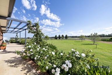 Acreage/Semi-rural For Sale - NSW - Terramungamine - 2830 - "The Range" - Tranquil Country Living Close to Dubbo  (Image 2)