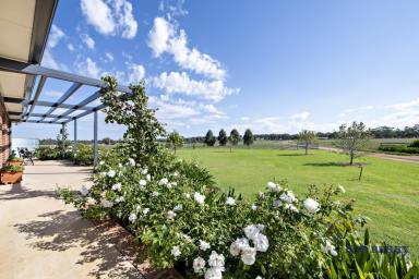 Acreage/Semi-rural Sold - NSW - Terramungamine - 2830 - "The Range" - Tranquil Country Living Close to Dubbo  (Image 2)