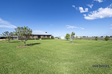 Acreage/Semi-rural Sold - NSW - Terramungamine - 2830 - "The Range" - Tranquil Country Living Close to Dubbo  (Image 2)