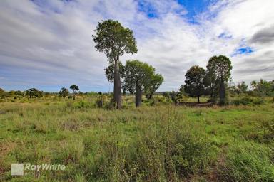 Other (Rural) Sold - QLD - Ulogie - 4702 - Dixalea River Frontage - Grazing and Cropping Options  (Image 2)
