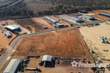 Land/Development For Sale - NSW - Buronga - 2739 - High Profile Corner Industrial Land - 1.222ha  (Image 2)