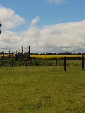Mixed Farming For Sale - SA - Keith - 5267 - SMALL/MEDIUM ACREAGE - TOP PLAINS COUNTY - CONVENIENT TO KEITH -  (Image 2)