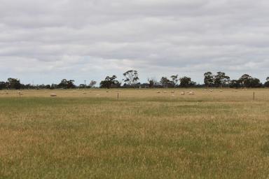 Mixed Farming For Sale - SA - Keith - 5267 - SMALL/MEDIUM ACREAGE - TOP PLAINS COUNTY - CONVENIENT TO KEITH -  (Image 2)
