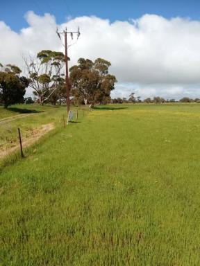 Mixed Farming For Sale - SA - Keith - 5267 - SMALL/MEDIUM ACREAGE - TOP PLAINS COUNTY - CONVENIENT TO KEITH -  (Image 2)