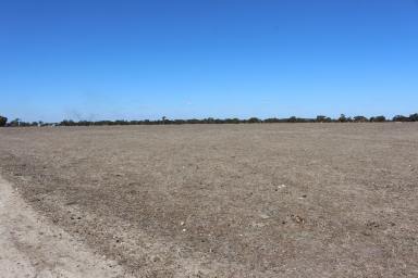 Mixed Farming For Sale - SA - Keith - 5267 - HARD TO FIND - BLANK CANVAS - SMALL/MEDIUM ACREAGE  (Image 2)