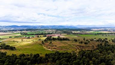 Mixed Farming For Sale - QLD - Tamrookum - 4285 - Lifestyle Property in the Picturesque Scenic Rim  (Image 2)