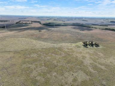 Cropping For Sale - VIC - Berrybank - 3323 - HEALTHY SOUTH WEST VICTORIA COUNTRY  (Image 2)