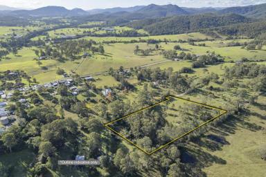 Other (Rural) For Sale - NSW - Stroud - 2425 - NATURALLY LANDSCAPED ACREAGE  (Image 2)
