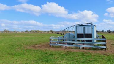 Mixed Farming For Sale - SA - Penola - 5277 - 'The Grass' $6,200,000  (Image 2)