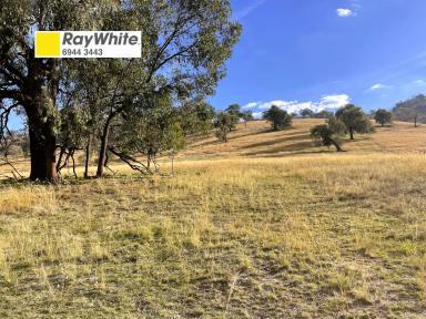 Residential Block For Sale - NSW - Gundagai - 2722 - Town and country.  (Image 2)