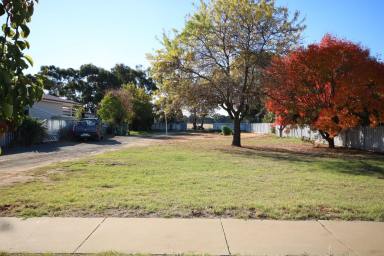 Residential Block For Sale - VIC - Rochester - 3561 - SPACIOUS RESIDENTIAL BLOCK WITH ENDLESS POTENTIAL  (Image 2)