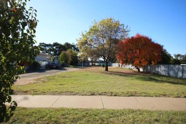 Residential Block For Sale - VIC - Rochester - 3561 - SPACIOUS RESIDENTIAL BLOCK WITH ENDLESS POTENTIAL  (Image 2)