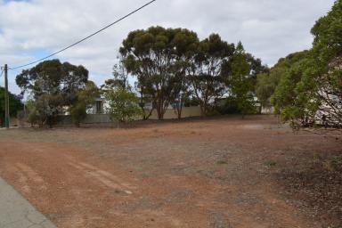 Residential Block For Sale - WA - Ravensthorpe - 6346 - Tranquil Rural Living Awaits: 1/4 Acre Block In Town!!  (Image 2)