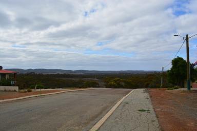 Residential Block For Sale - WA - Ravensthorpe - 6346 - Tranquil Rural Living Awaits: 1/4 Acre Block In Town!!  (Image 2)