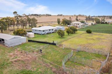 Acreage/Semi-rural For Sale - QLD - Cambooya - 4358 - 'SHADY GUMS' - Lifestyle and location!  (Image 2)