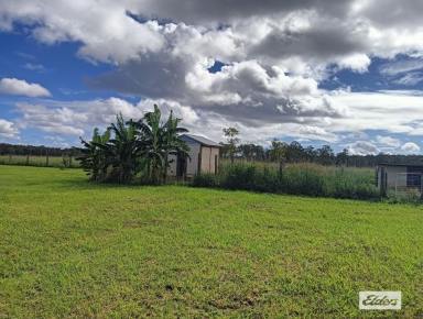 House For Lease - QLD - Glenwood - 4570 - Hidden Gem for Rent  (Image 2)