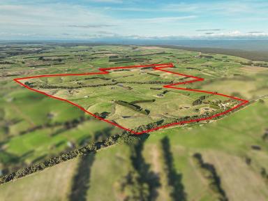 Dairy For Sale - VIC - Simpson - 3266 - EXCELLENT HEYTESBURY DISTRICT PROPERTY  (Image 2)