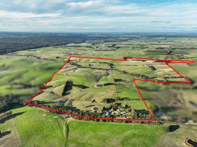Dairy For Sale - VIC - Simpson - 3266 - EXCELLENT HEYTESBURY DISTRICT PROPERTY  (Image 2)