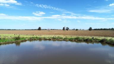 Mixed Farming For Sale - NSW - Gilgandra - 2827 - Quality Mixed Farming Asset  (Image 2)