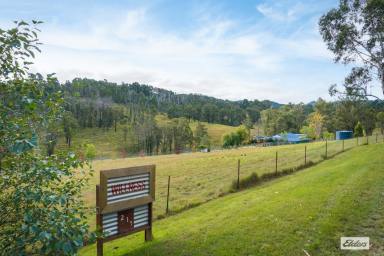 Acreage/Semi-rural For Sale - NSW - Wyndham - 2550 - SUSTAINABLE LIVING  (Image 2)